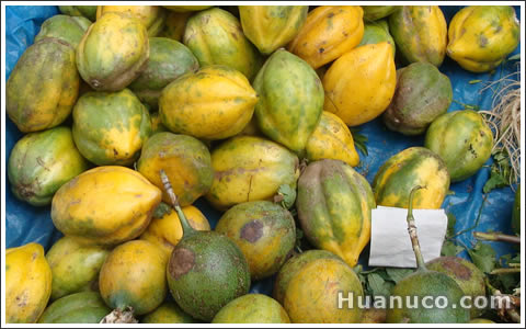 paypayitas papayas chiquitas