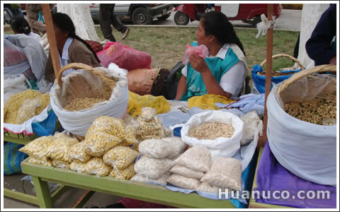 maiz, frejoles y habas sancochados