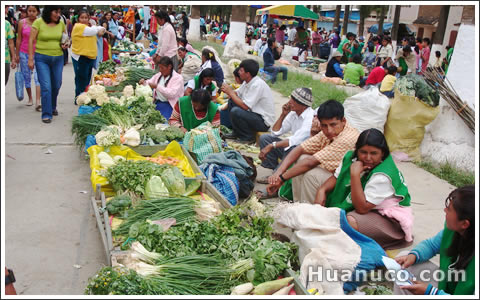 vendedores de verduras y hierbas