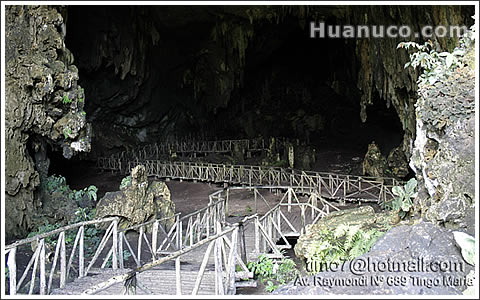 La cueva de las lechuzas está